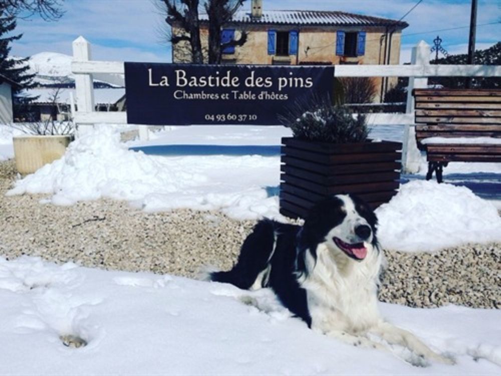 La Bastide Des Pins Hotel Bagian luar foto